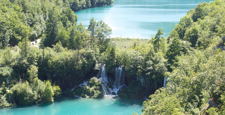 Fly Geyser near Black Rock Desert , Nevada