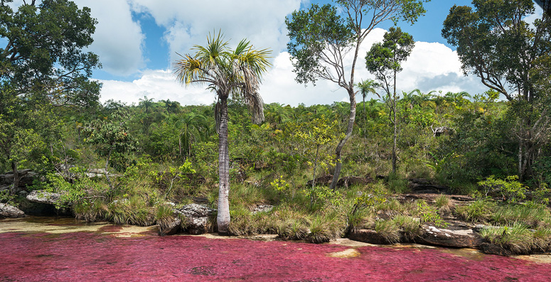 Fly Geyser near Black Rock Desert , Nevada