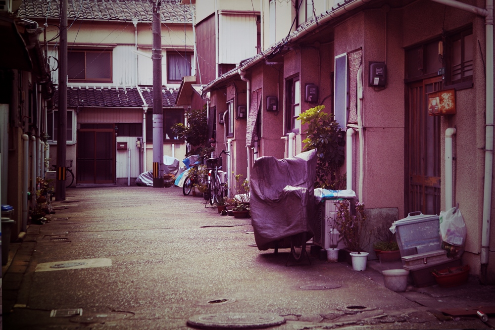 3176398381_5dddee519b_o