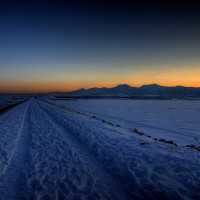 ホラー好きな方にお勧めしたい 楳図かずおの漫画5選