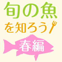 【大人の教養】　旬の魚を知ろう　春編