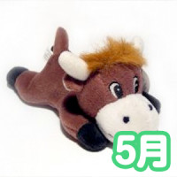 2015年5月の運勢チェック