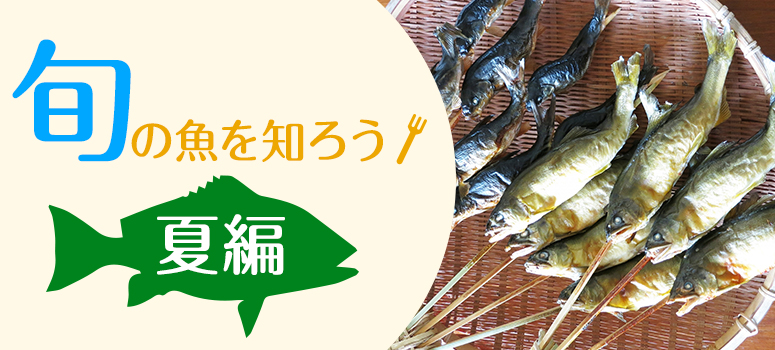 20150611_thumb_large