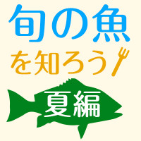 【大人の教養】　旬の魚を知ろう　夏編