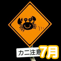 2015年7月の運勢チェック