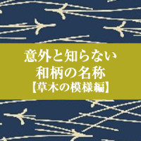 意外と知らない　和柄の名称【草木の模様編】