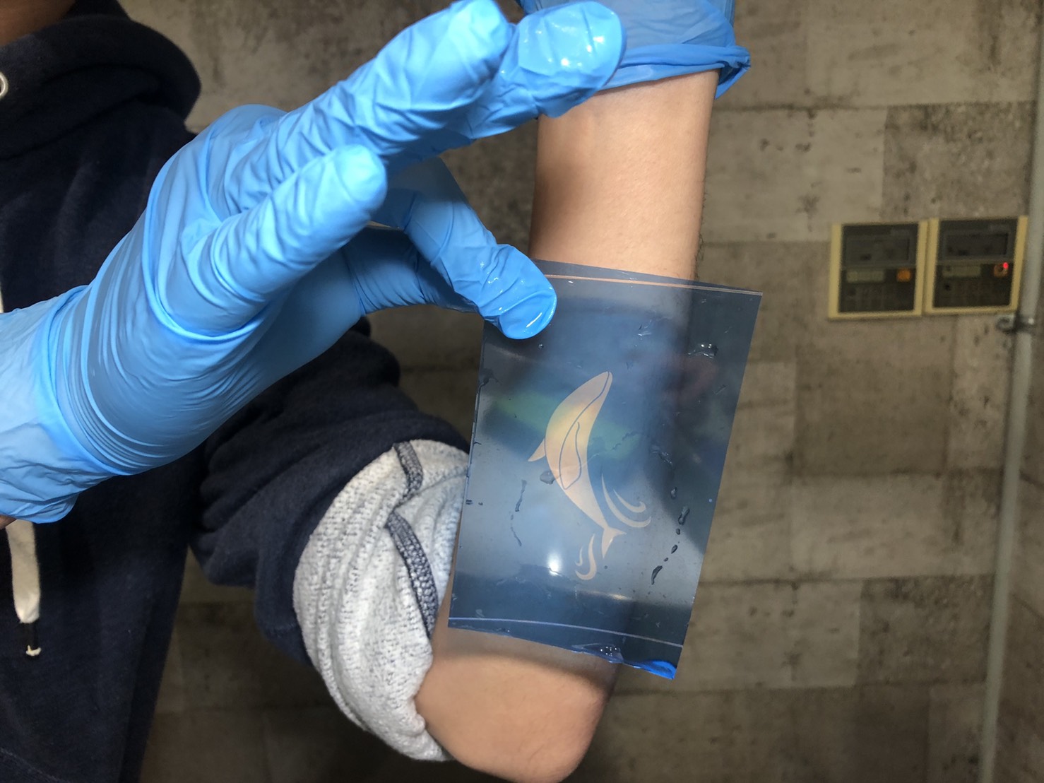 デザインをフィルムに転写した様子