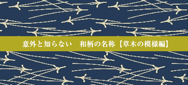 20150730_thumb_large