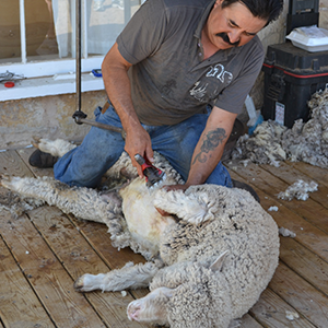 2015年9月のおひつじ座星座占い